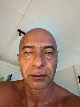 dogfrota online show from March 2026 05:38:02 PM