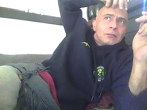 dogfrota online show from June 2026 06:08:01 PM