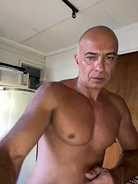 Snapshot of dogfrota chatting on February 2026 08:31:02 PM dogfrota online show from February 2026 08:31:02 PM