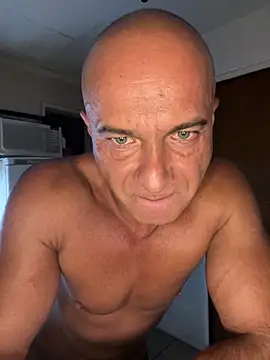 dogfrota online show from March 2026 03:35:02 AM