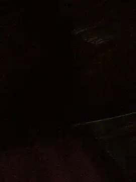 sun-shii online show from April 2026 07:09:02 PM