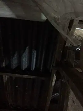 sun-shii online show from March 2026 10:55:01 PM