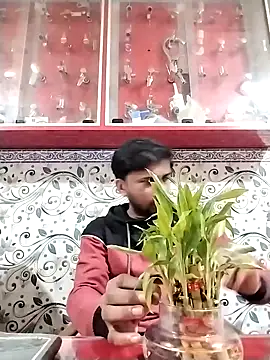 studio-my online show from February 2026 03:12:02 PM