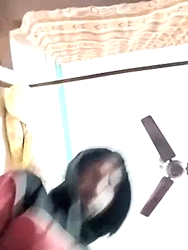 studio-my online show from February 2026 06:28:01 PM