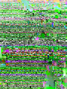 Snapshot of DouDou-- chatting on June 2026 02:37:02 PM DouDou-- online show from June 2026 02:37:02 PM