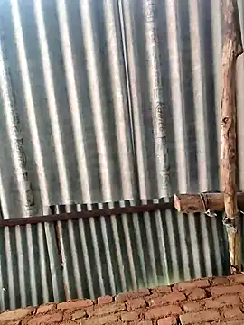 Hot di97 online show from April 2026 05:03:01 AM