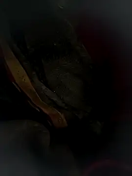 Hot bh64 online show from March 2026 03:56:02 PM