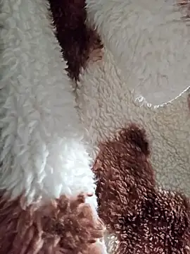 Virgin Pussy SquirtX online show from January 2026 07:34:01 AM