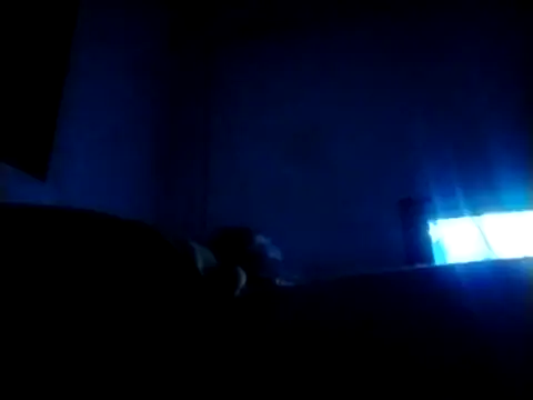 FairedVein online show from March 2026 03:23:01 AM