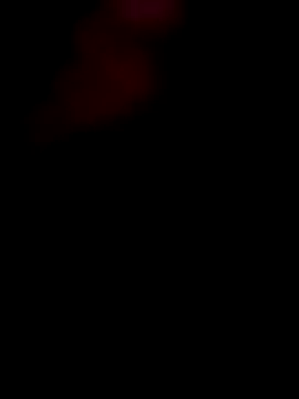 Elcalifa online show from February 2026 09:47:01 PM