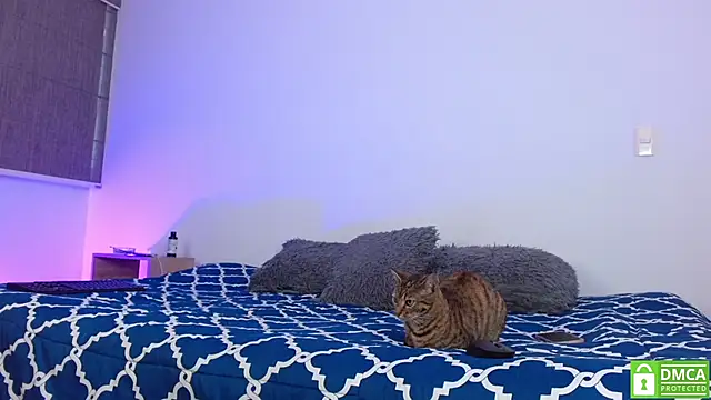 Noyrx online show from February 2026 06:06:01 PM