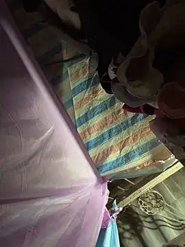 Charlotte-ee online show from March 2026 11:20:02 PM