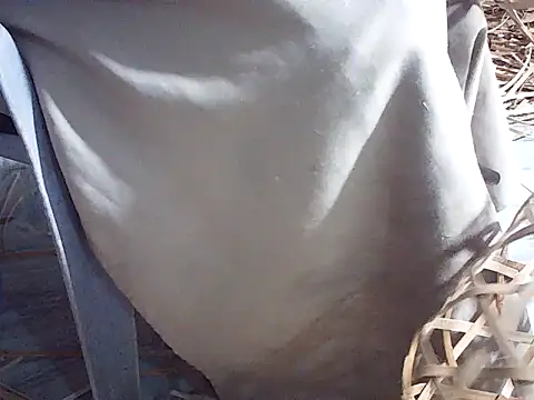 Futar8388 online show from January 2026 12:20:02 PM