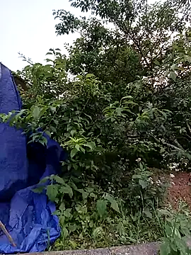 -Likin- online show from April 2026 11:06:01 AM