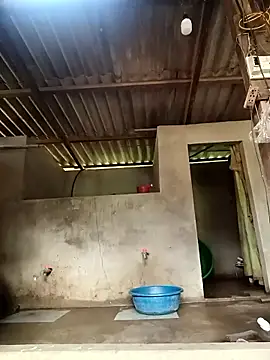 -Likin- online show from March 2026 09:33:02 AM