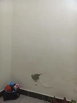 PatriciaVen online show from February 2026 05:58:01 AM