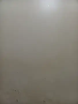 PatriciaVen online show from February 2026 05:02:01 AM