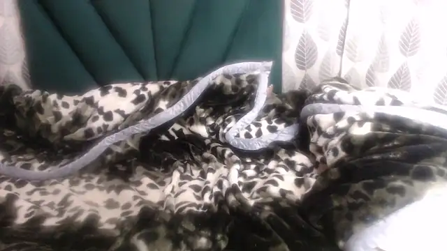 Nellybba online show from March 2026 04:21:01 PM