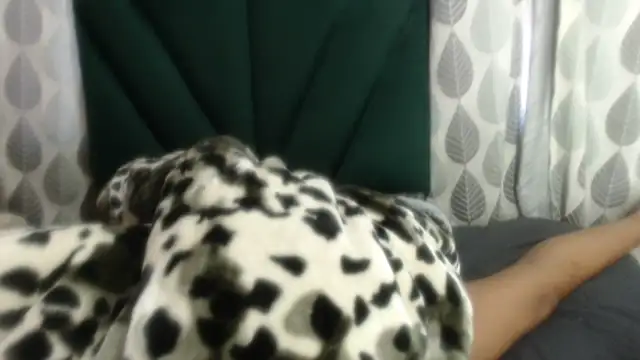 Nellybba online show from March 2026 05:49:02 AM