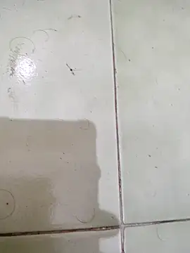 TamilBoy3007 online show from February 2026 07:32:02 PM