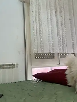 morenita sexy777 online show from March 2026 10:50:01 AM