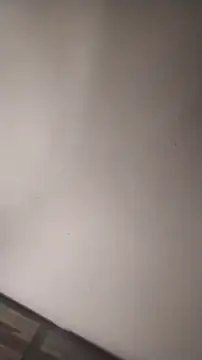 sterng6969 online show from March 2026 05:26:01 AM