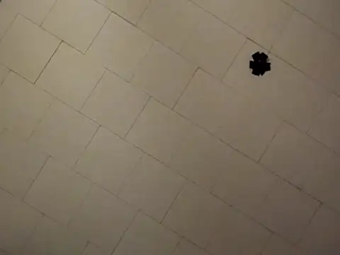 sterng6969 online show from April 2026 08:09:02 AM