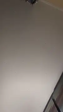 sterng6969 online show from March 2026 05:56:02 AM