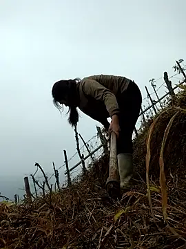 miumiu sexy2x online show from April 2026 02:02:02 AM