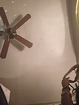 dianagonewild online show from March 2026 04:46:01 AM