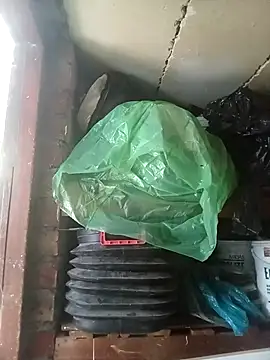 dicklife3485 online show from April 2026 09:03:02 AM