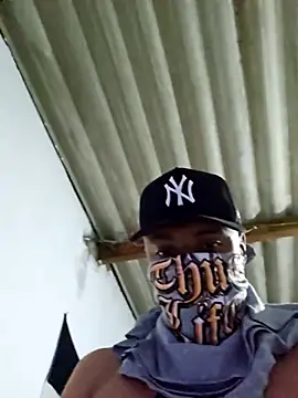 novinho br29 online show from February 2026 08:34:01 AM