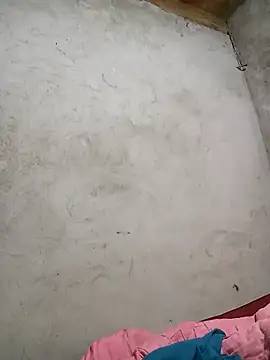 Nga x9 online show from March 2026 12:05:01 AM