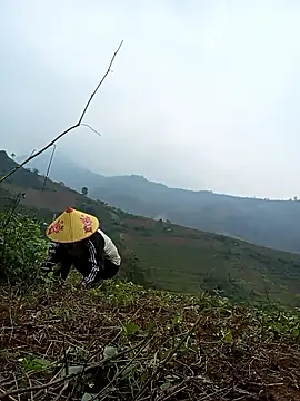 Nga x9 online show from March 2026 07:24:01 AM