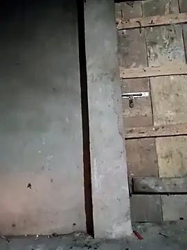 Nga x9 online show from March 2026 09:43:02 PM