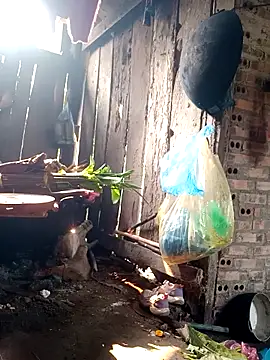 out-lustt online show from March 2026 08:01:01 AM