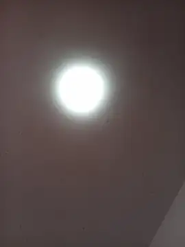 OrianaNorth online show from May 2026 01:47:02 PM