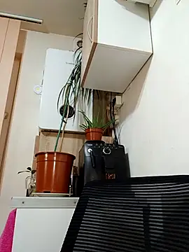 AdaJoy online show from March 2026 09:29:02 PM