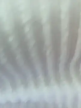 Your Enyel online show from February 2026 12:43:02 AM