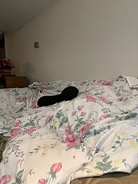 KOdaLion online show from April 2026 02:46:01 AM