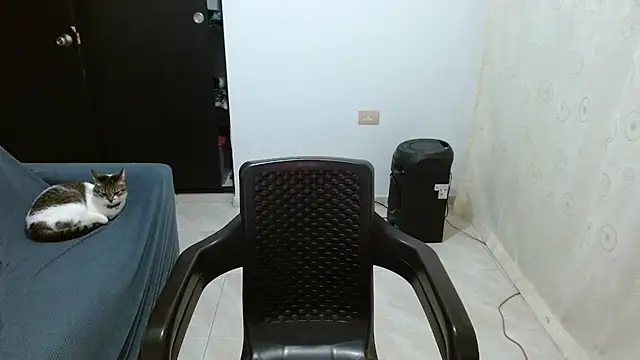 maskguy23 online show from July 2026 05:41:02 AM