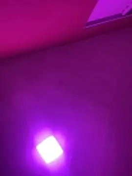 MorenaCariok online show from February 2026 04:37:01 PM