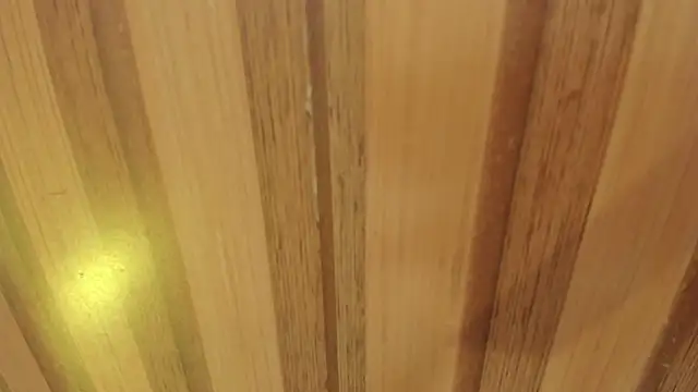 sweet  luna   online show from April 2026 11:03:01 AM