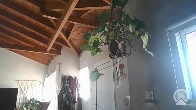 aircum99 online show from March 2026 08:10:01 PM