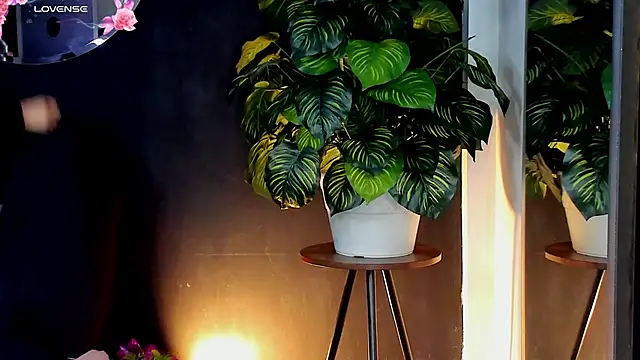 Noaah25  online show from April 2026 03:24:01 AM