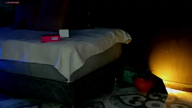 Noaah25  online show from April 2026 03:30:01 AM