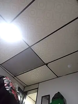 ahsssex2026 online show from February 2026 10:12:02 AM