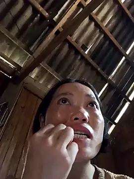 Snapshot of kotaka-shoow chatting on March 2026 05:41:01 AM kotaka-shoow online show from March 2026 05:41:01 AM