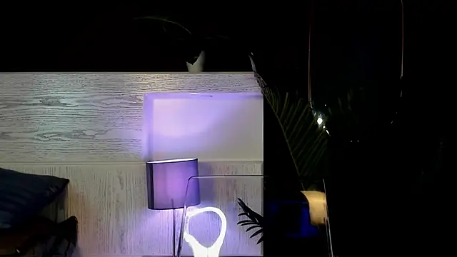 Snapshot of Crystaa12 chatting on February 2026 11:44:02 AM Crystaa12 online show from February 2026 11:44:02 AM