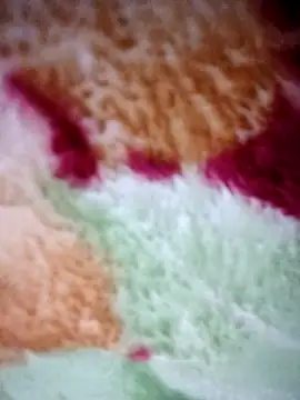 Snapshot of Joker12085 chatting on February 2026 01:03:01 AM Joker12085 online show from February 2026 01:03:01 AM